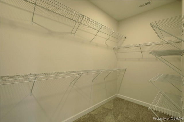 walk in closet featuring carpet flooring