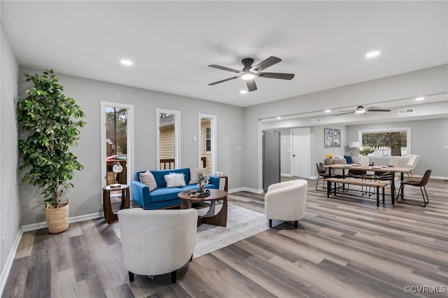 living room with ceiling fan and wood-type flooring