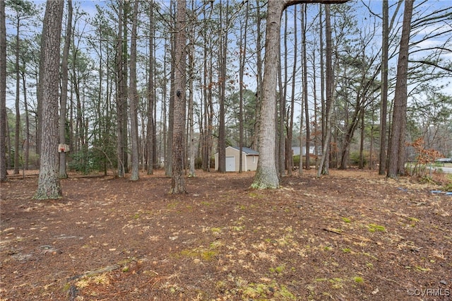 view of yard featuring an outbuilding