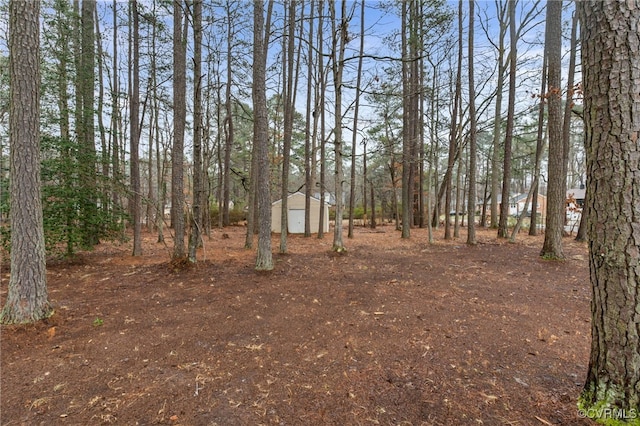 view of yard with a storage unit