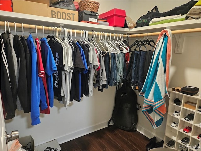 walk in closet featuring wood finished floors