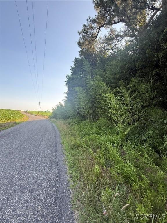 0 Cedon Rd, Woodford, VA 22580 - photo 1