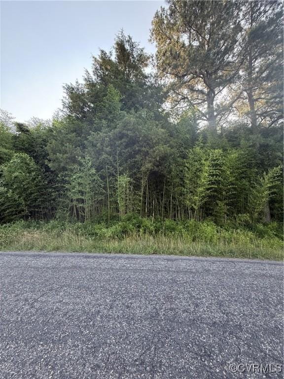 0 Cedon Rd, Woodford, VA 22580 - photo 2