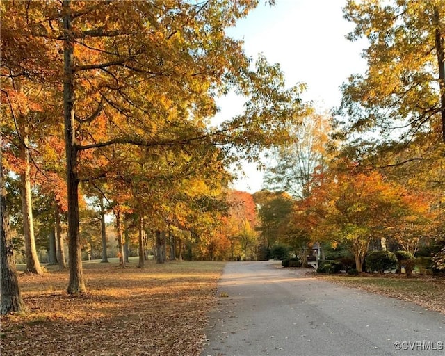 view of road