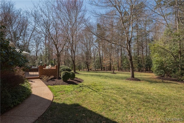 view of yard featuring a gate