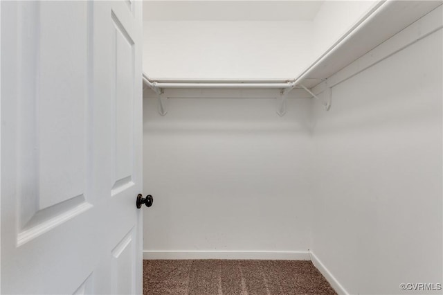 spacious closet featuring dark colored carpet