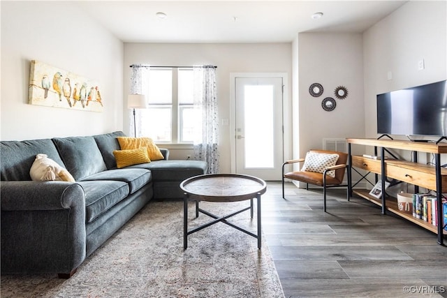 living room featuring hardwood / wood-style floors