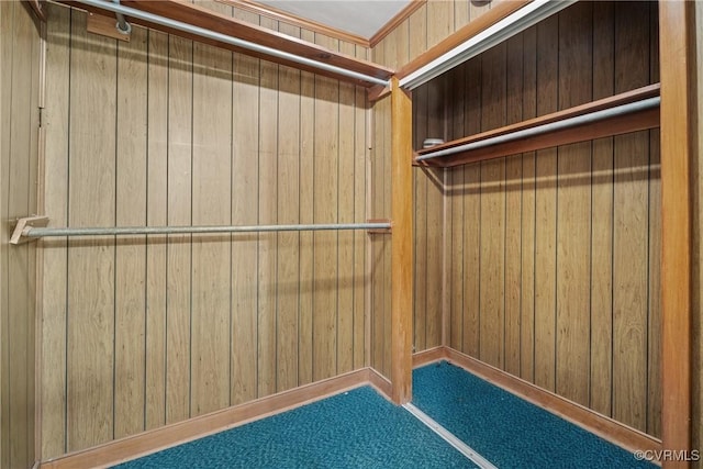 walk in closet featuring carpet floors