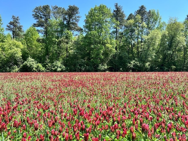 LOT22 Preserve Dr, Lancaster, VA 22503