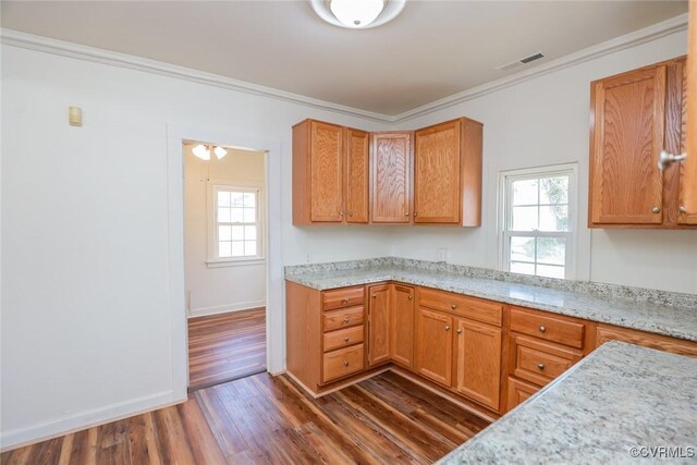 kitchen featuring dark wood-style flooring, a healthy amount of sunlight, crown molding, and visible vents