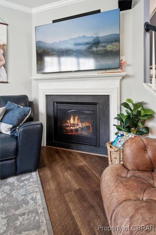 details featuring a glass covered fireplace, crown molding, and wood finished floors