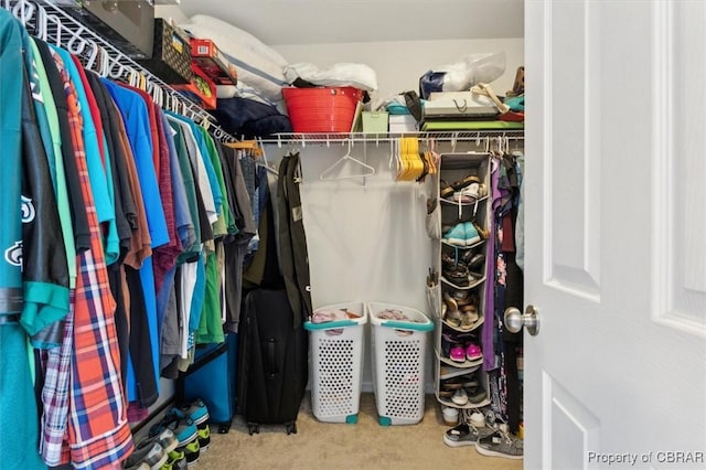 spacious closet featuring carpet floors