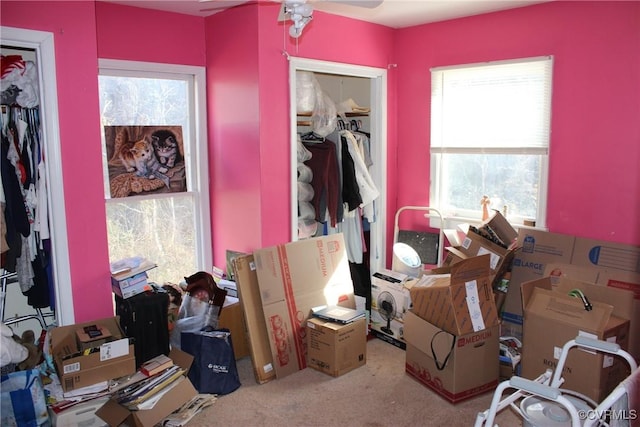 view of carpeted bedroom