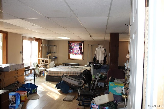 bedroom with a drop ceiling and wood finished floors