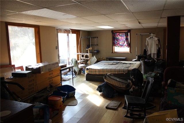 bedroom featuring a paneled ceiling and wood finished floors