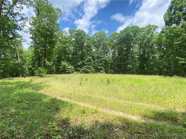 Listing photo 3 for LOT0012 Hope Ln, Orange VA 22960