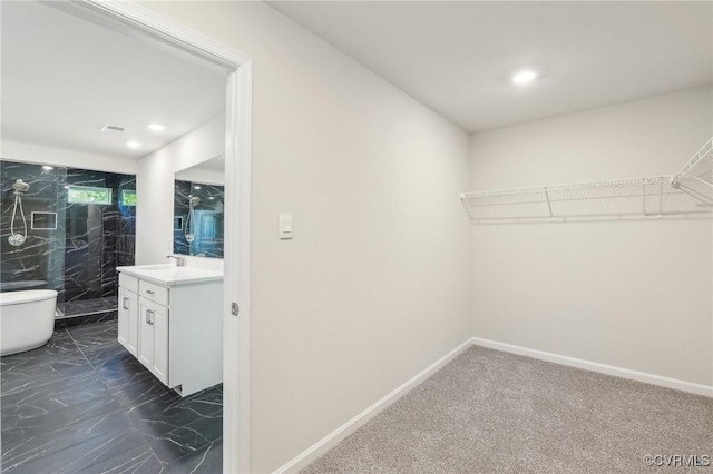 2700 Maidens Rd, Powhatan, VA 23139 - spacious closet with marble finish floor, a sink, and visible vents