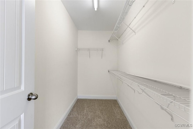 spacious closet with carpet floors