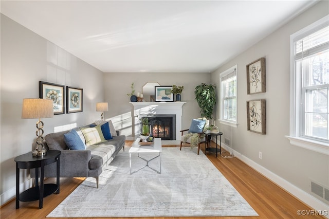 living room featuring light hardwood / wood-style flooring