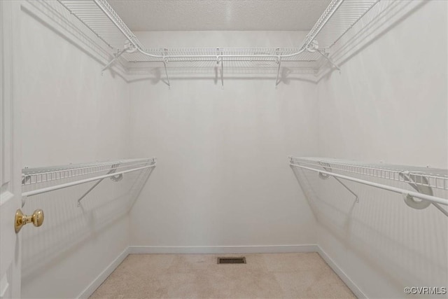 spacious closet with light carpet