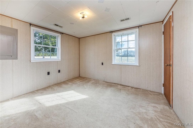 unfurnished room featuring electric panel and light colored carpet