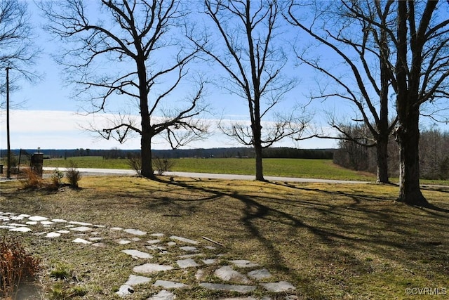 view of yard with a rural view