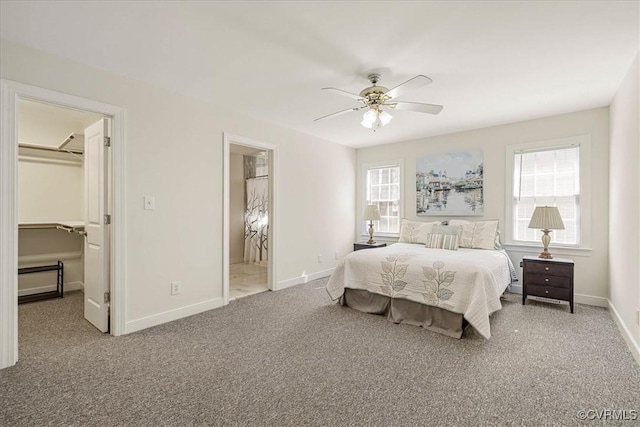 carpeted bedroom featuring a walk in closet, ceiling fan, baseboards, ensuite bathroom, and a closet