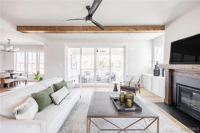 living room featuring beam ceiling, light wood-type flooring, and ceiling fan with notable chandelier