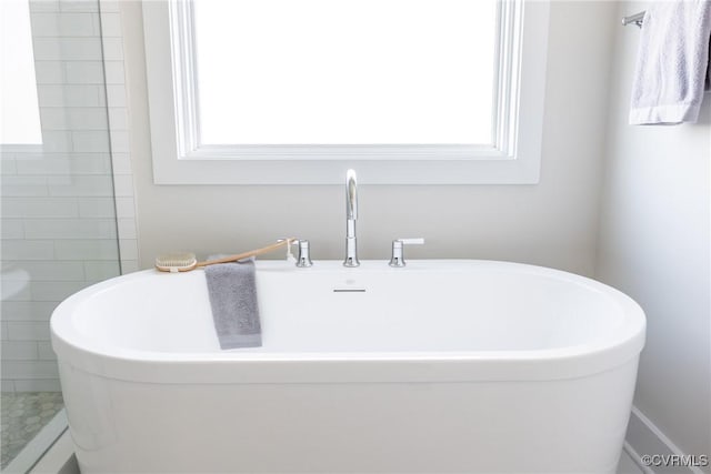 bathroom featuring a washtub