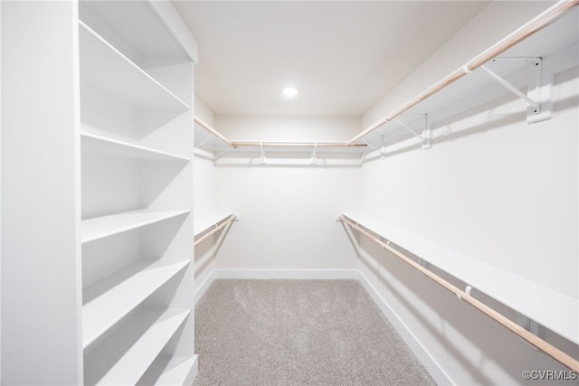 spacious closet with carpet flooring