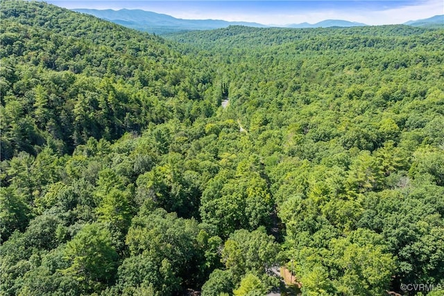 bird's eye view featuring a forest view and a mountain view