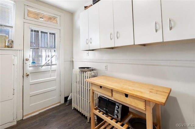 interior space featuring dark wood-style flooring and radiator