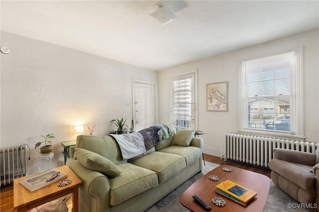 living area with radiator heating unit, a wealth of natural light, and wood finished floors