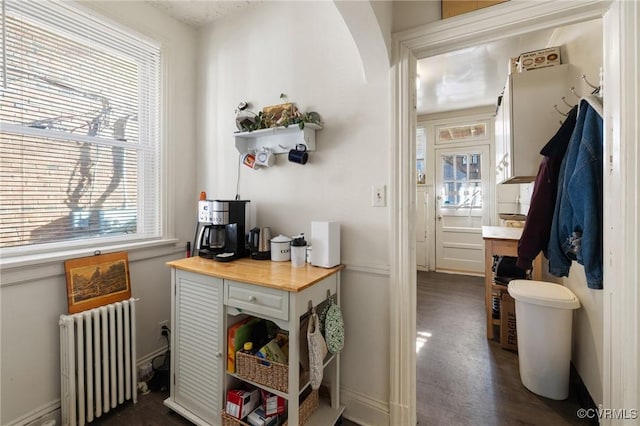 interior space featuring baseboards and radiator