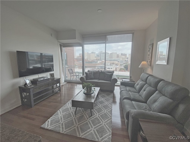 living room featuring expansive windows and dark wood finished floors