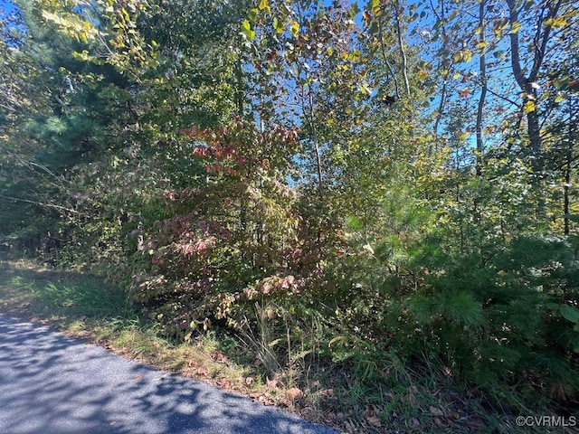 12 Booth St, Farmville, VA 23901
