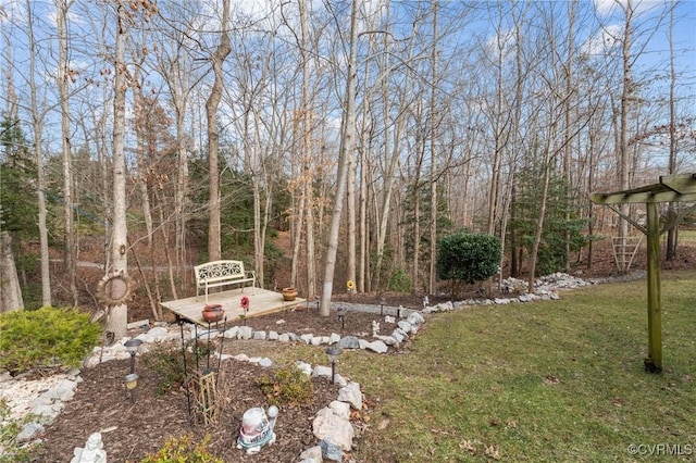 view of yard with a patio