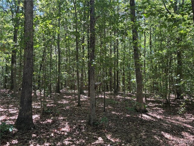 2539 Oilville Rd, Rockville, VA 23146 - photo 2