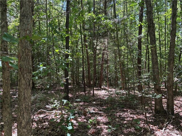 2539 Oilville Rd, Rockville, VA 23146 - photo 3