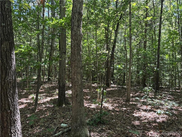 2539 Oilville Rd, Rockville, VA 23146 - photo 4