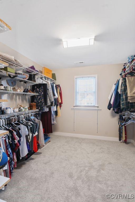 spacious closet with carpet flooring and visible vents