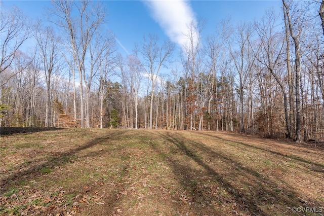 view of yard with a view of trees