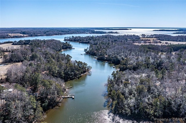 birds eye view of property featuring a water view and a wooded view