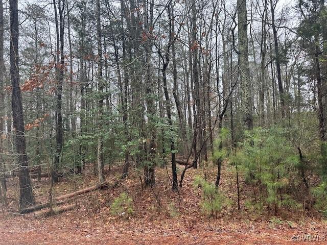 0 River Oaks Rd, Essex, VA 22437