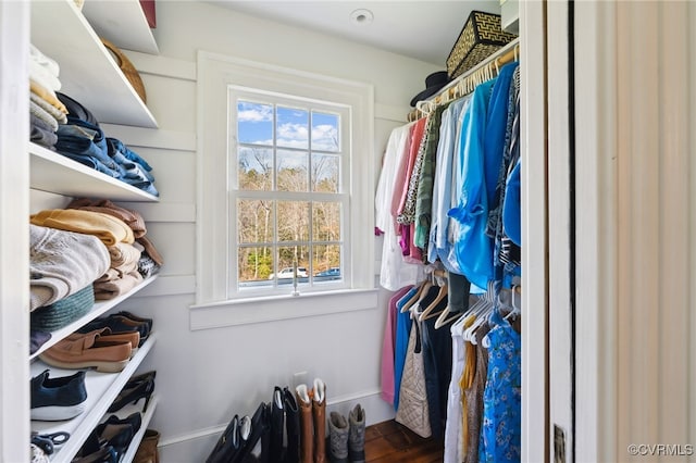 view of spacious closet