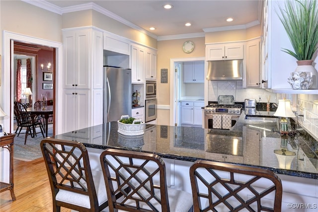 kitchen featuring tasteful backsplash, appliances with stainless steel finishes, ornamental molding, a peninsula, and under cabinet range hood