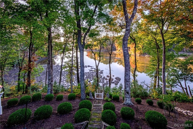 view of yard with a water view