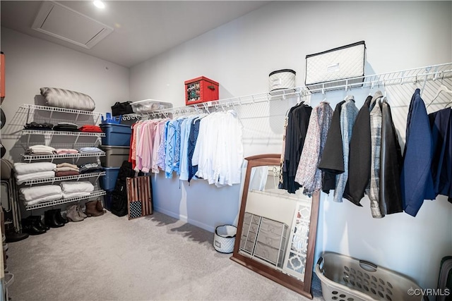 walk in closet featuring carpet and attic access