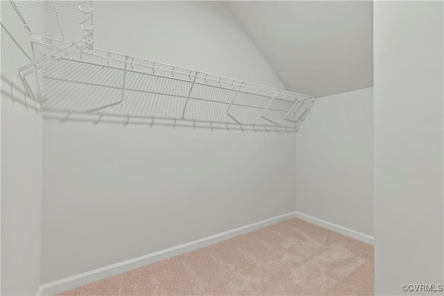 walk in closet featuring vaulted ceiling and carpet flooring