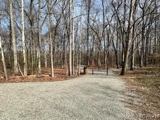 view of yard featuring a wooded view